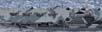HMS-Victorious_14
