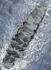 HMS-Victorious_17
