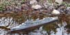 DD-530-USS-McChord2