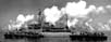 OYSTER-BAY-12