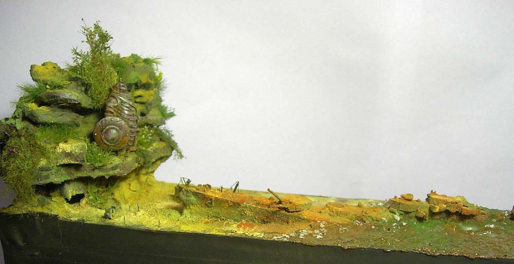 Ashore-(10)