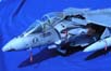 Harrier_-002