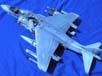 Harrier_-006