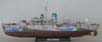 SNOWBERRY_01