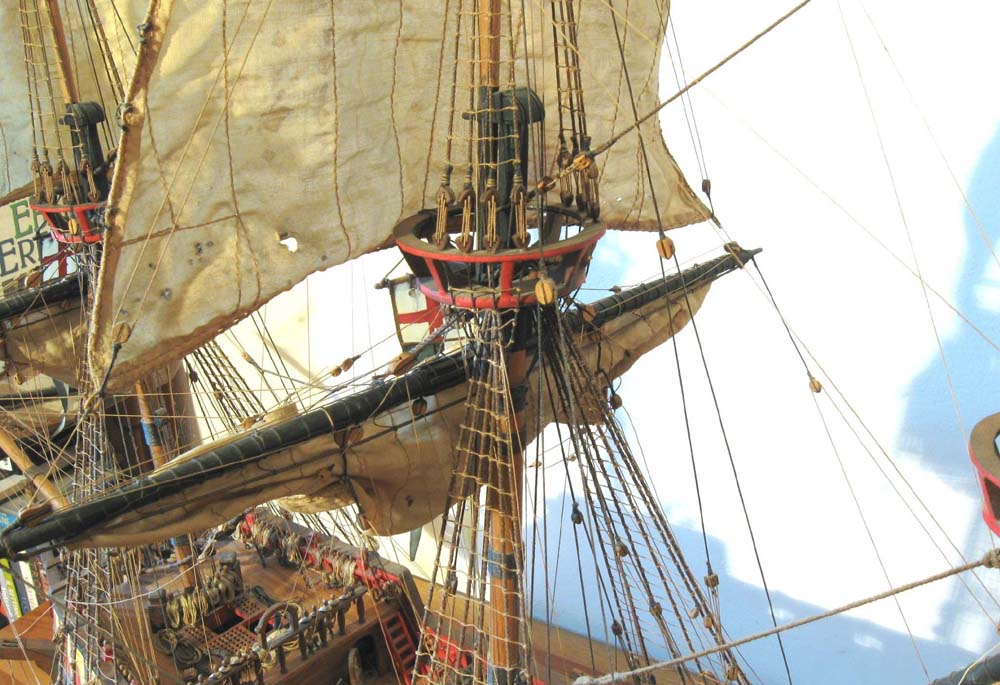 GoldenHind_10