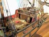 GoldenHind_05