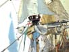 GoldenHind_09