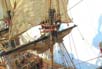 GoldenHind_10