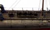 Adler_11_web