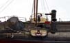 Adler_4_web